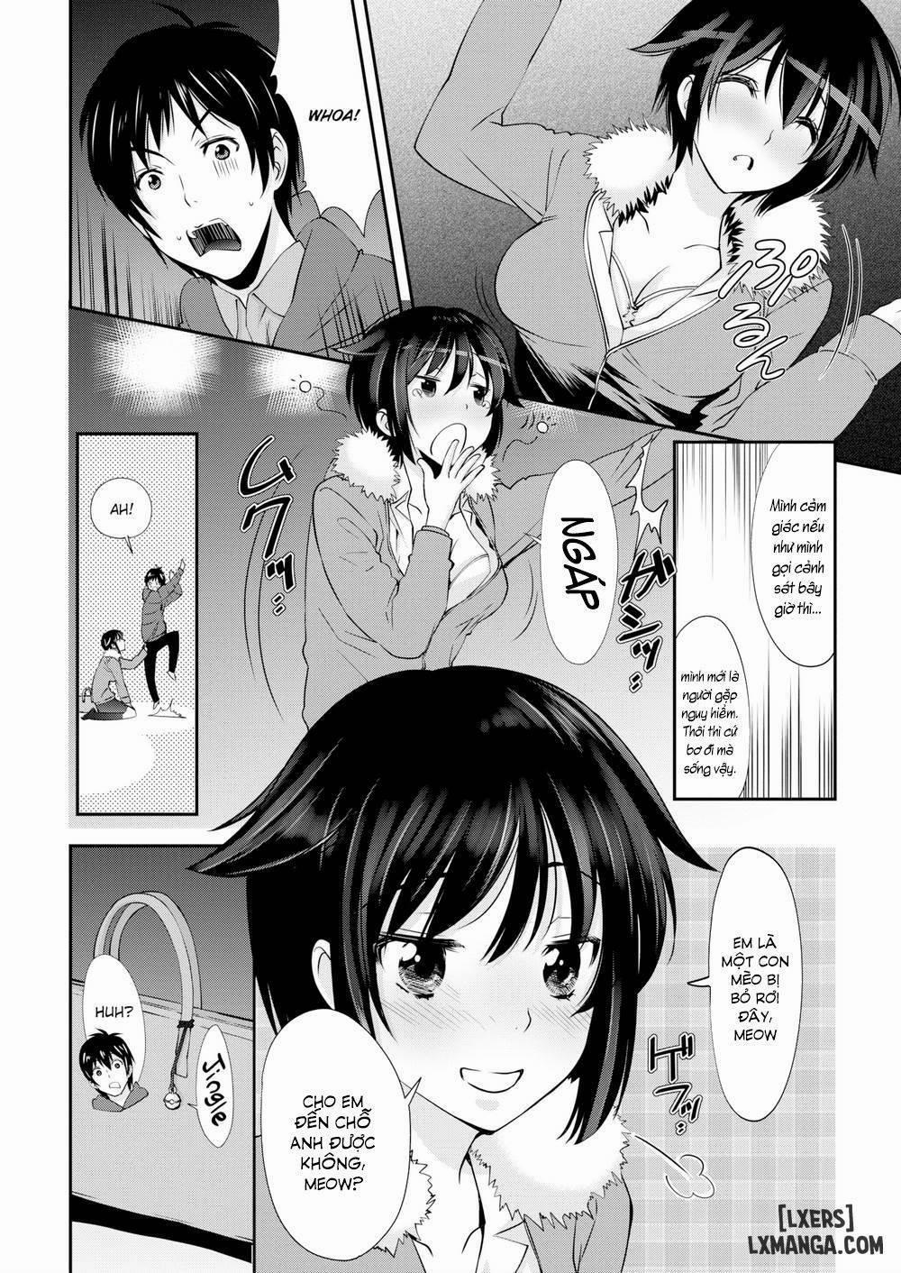 A Cat Night Oneshot trang 1