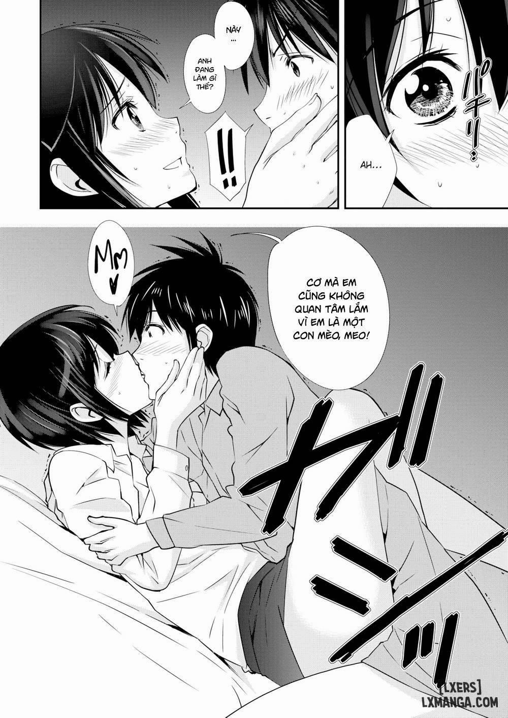 A Cat Night Oneshot trang 9