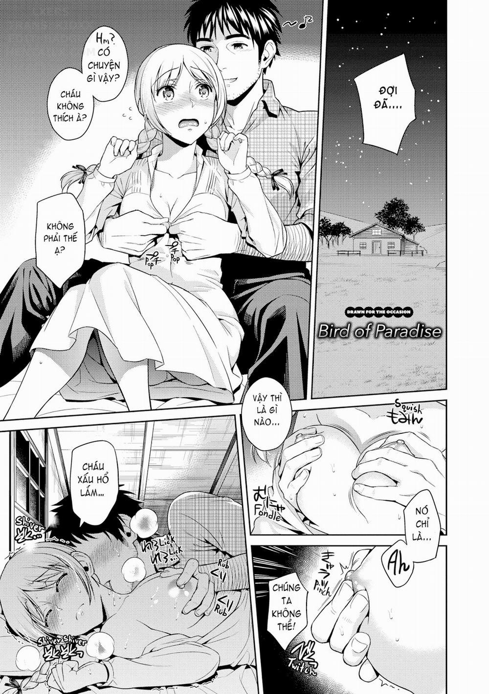 A Healthy Appetite 0 Migrant Bird trang 17