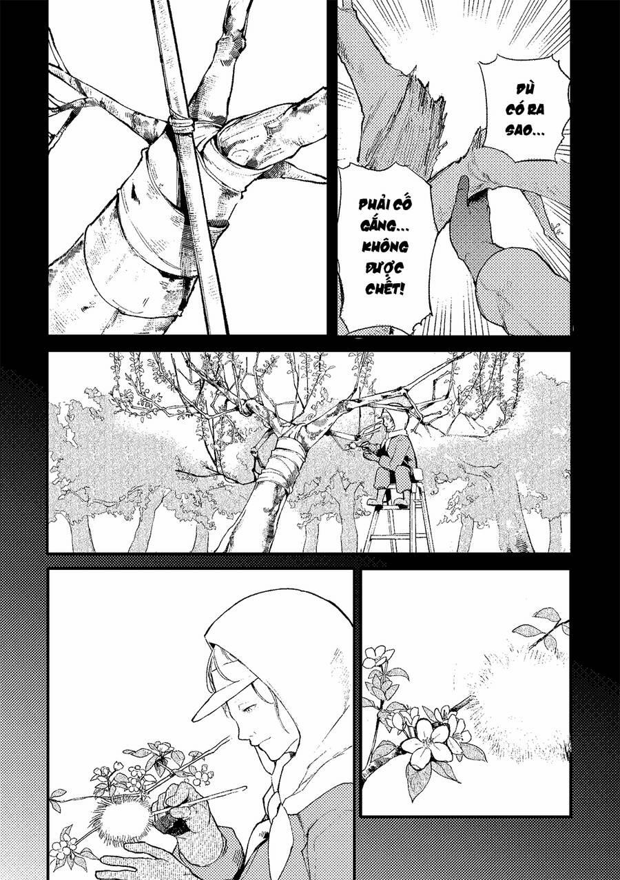 A Story About A Granpa And Granma Returned Back To Their Youth 194.5 trang 14