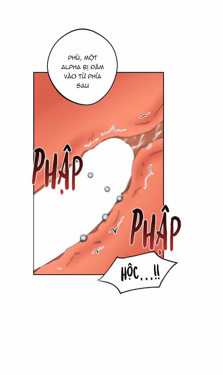 (A x A) Ngày trăng không rạng 5 trang 24