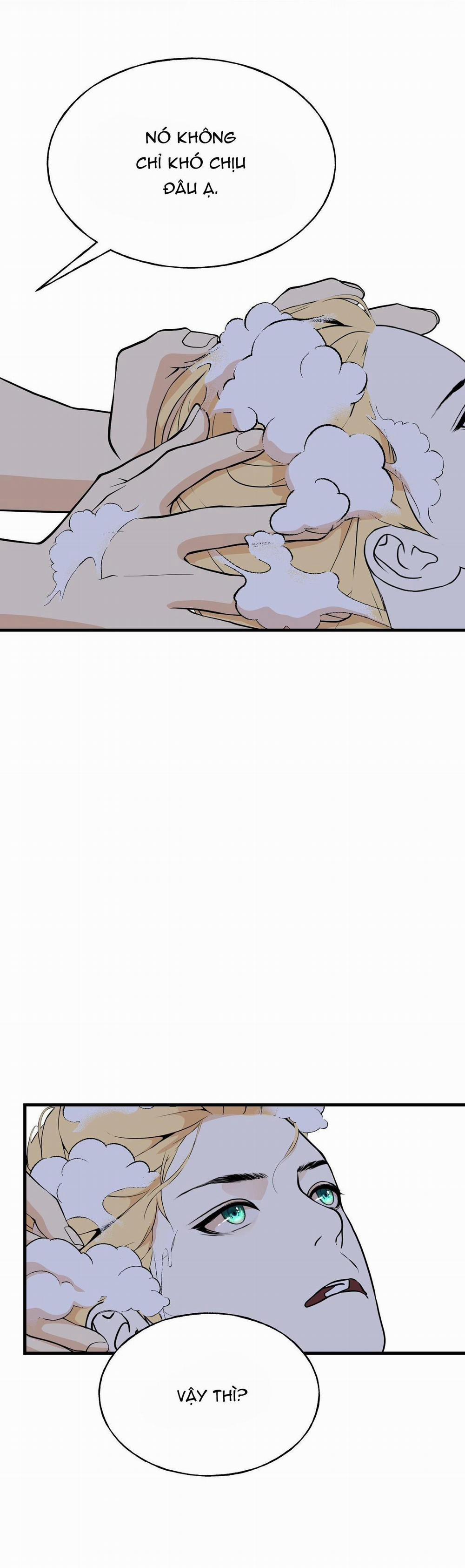 (Abo) Đám Cưới Hoàng Gia 13 trang 11