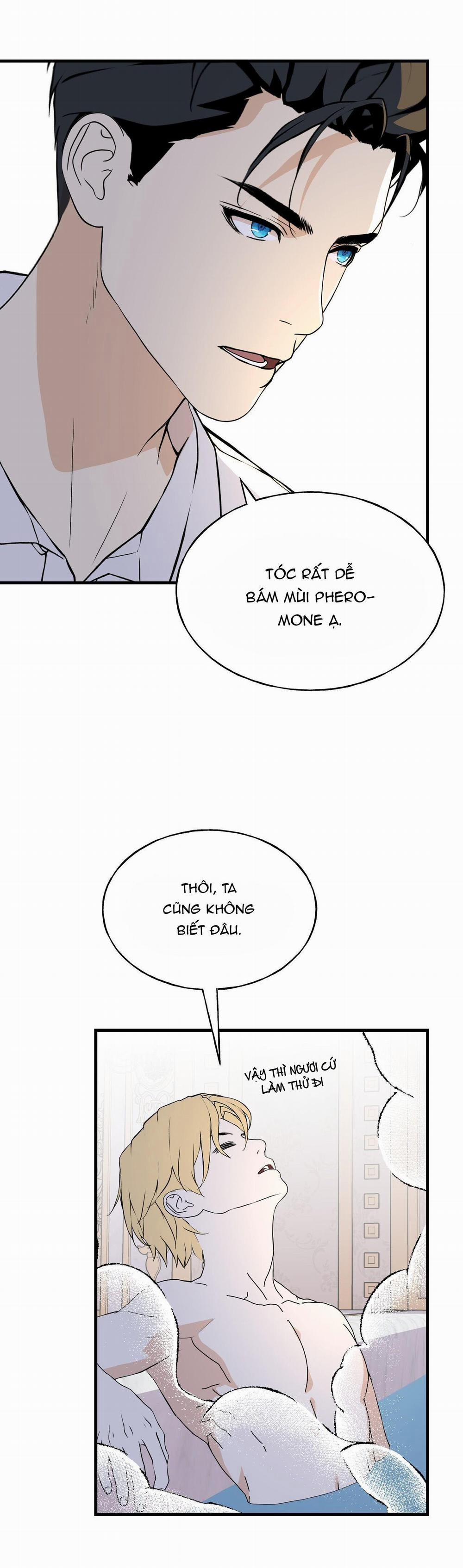 (Abo) Đám Cưới Hoàng Gia 13 trang 6