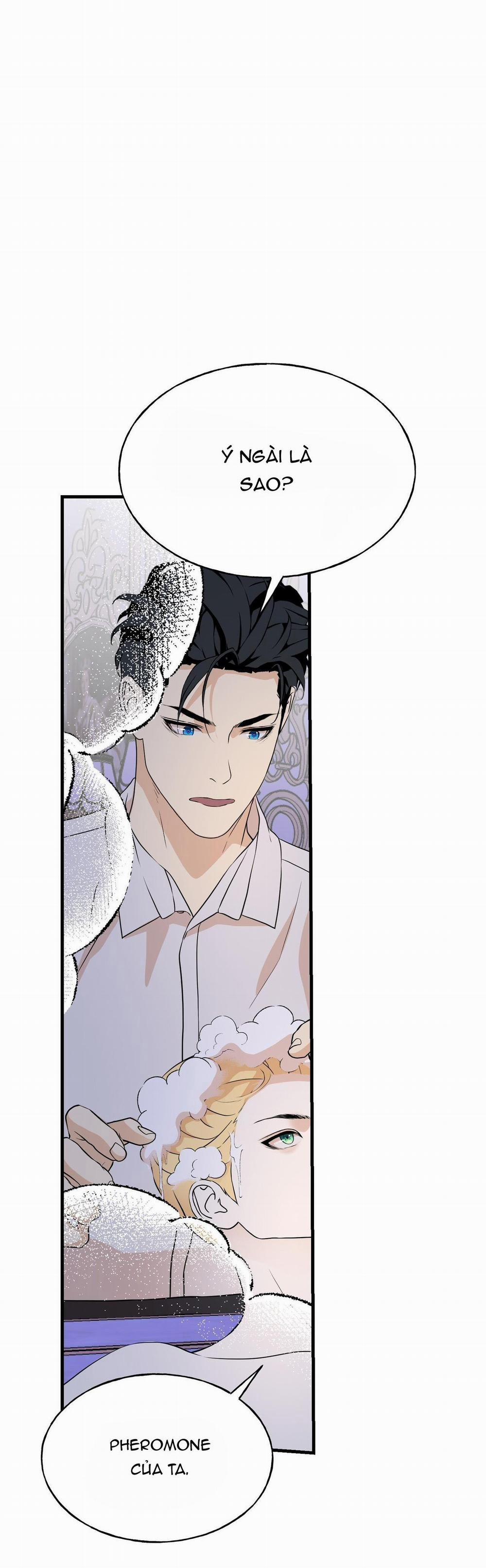 (Abo) Đám Cưới Hoàng Gia 13 trang 8