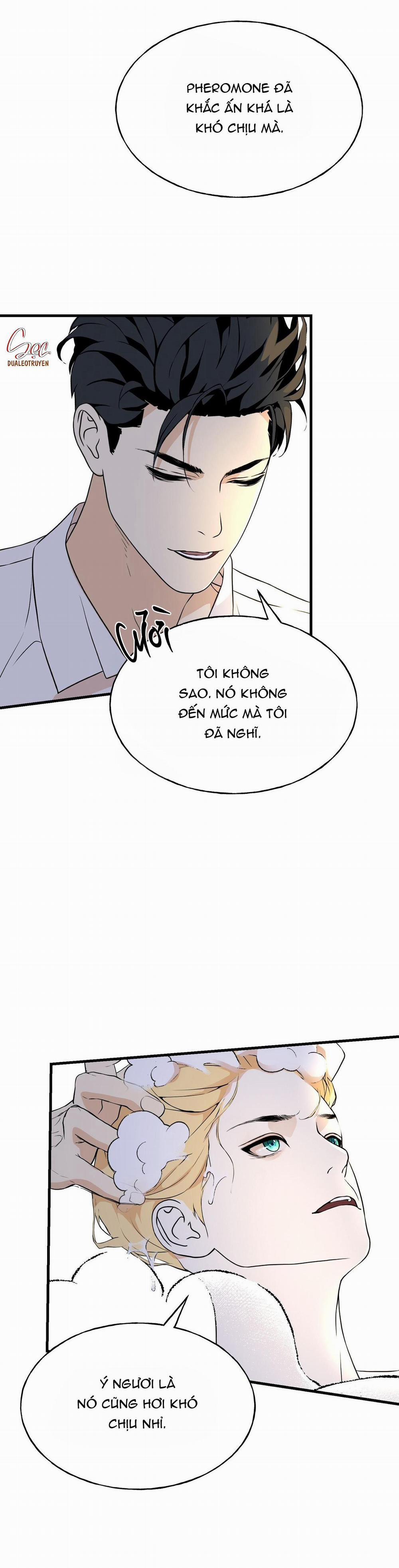 (Abo) Đám Cưới Hoàng Gia 13 trang 9