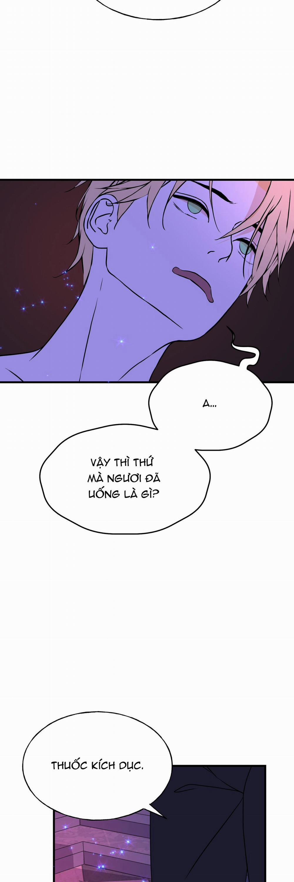 (Abo) Đám Cưới Hoàng Gia 19 trang 2