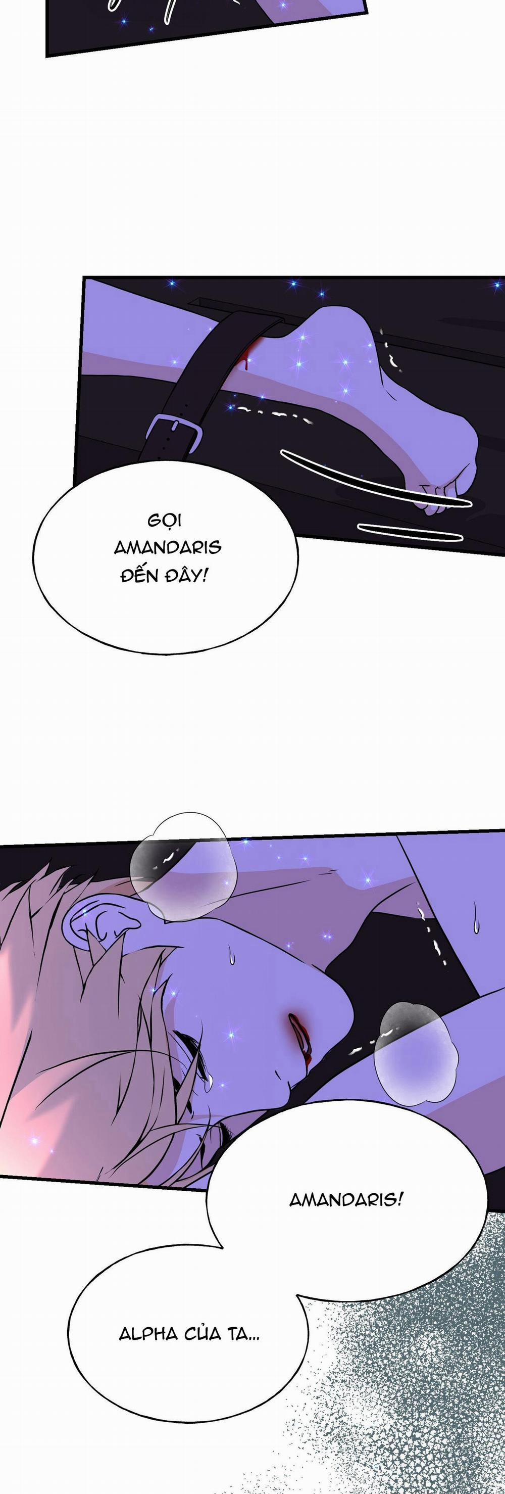 (Abo) Đám Cưới Hoàng Gia 19 trang 24