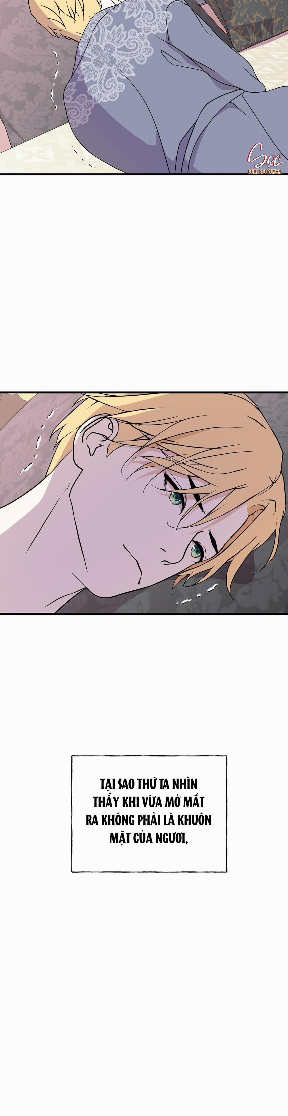 (Abo) Đám Cưới Hoàng Gia 20 trang 11