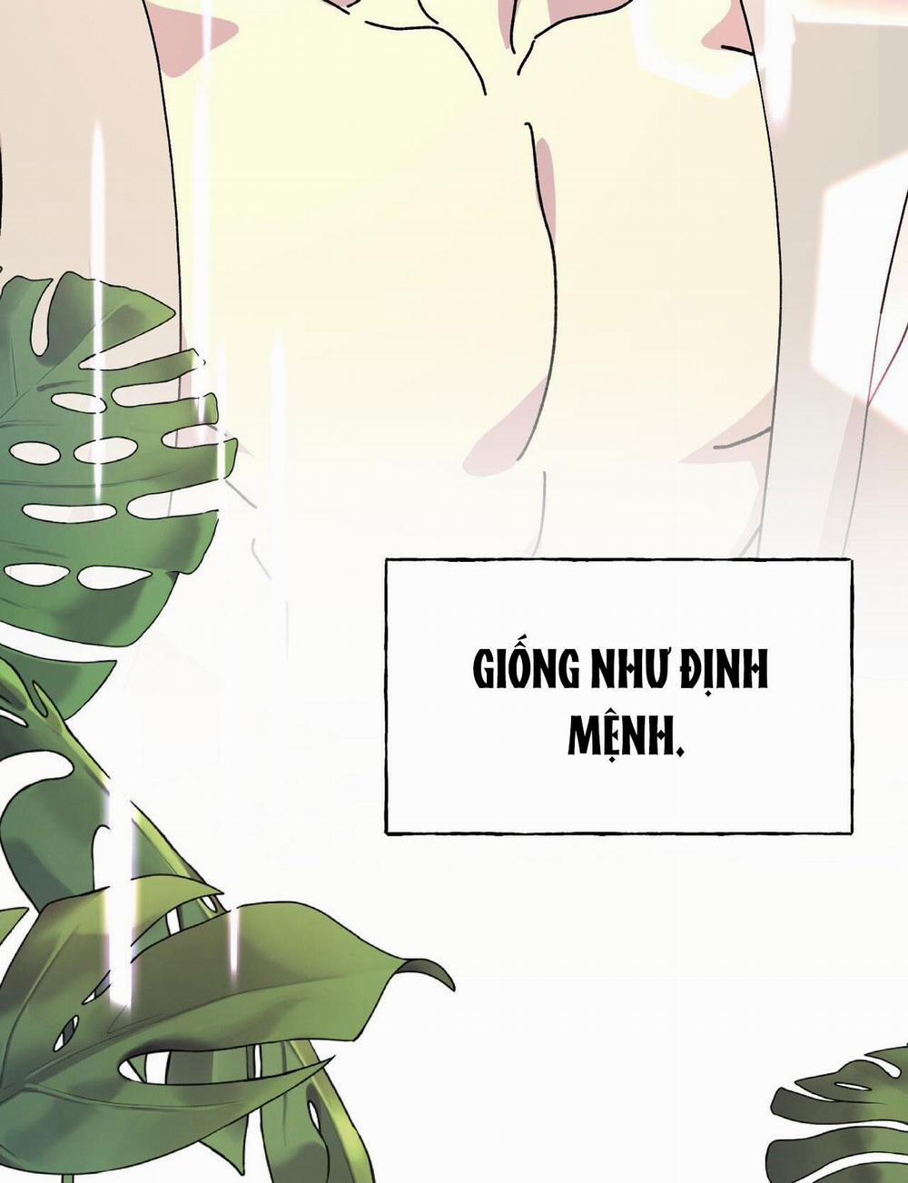 (Abo) Đám Cưới Hoàng Gia 24 trang 37