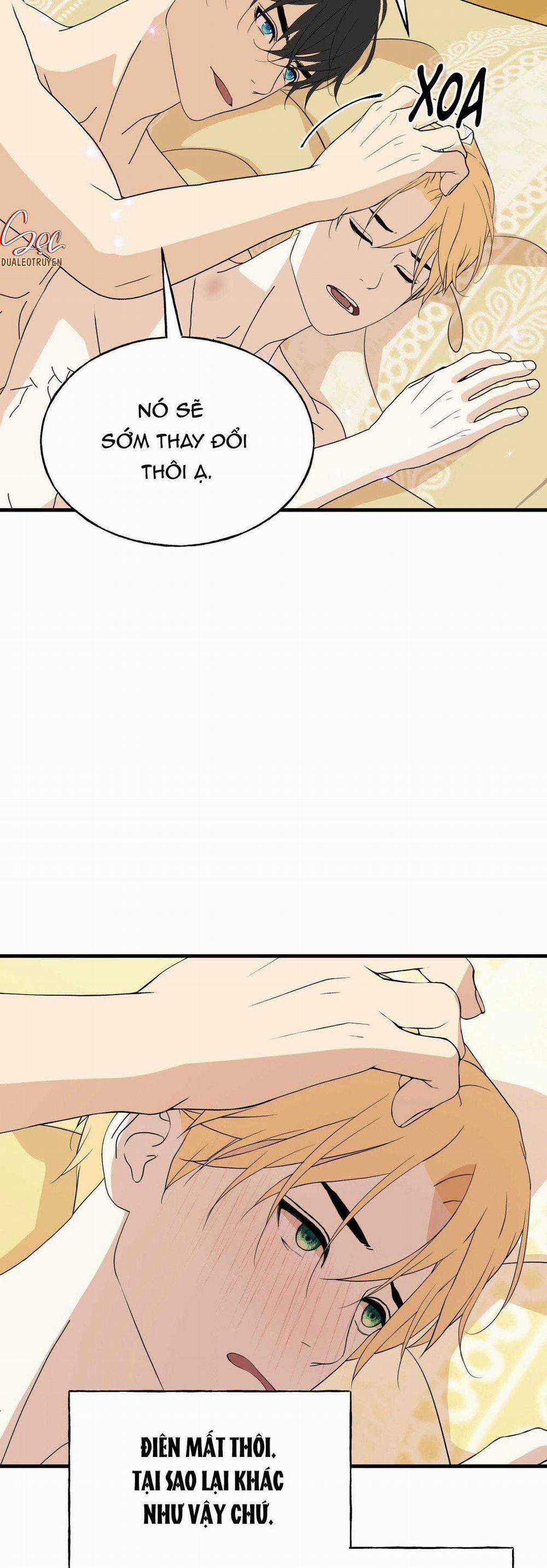 (Abo) Đám Cưới Hoàng Gia 29 trang 10