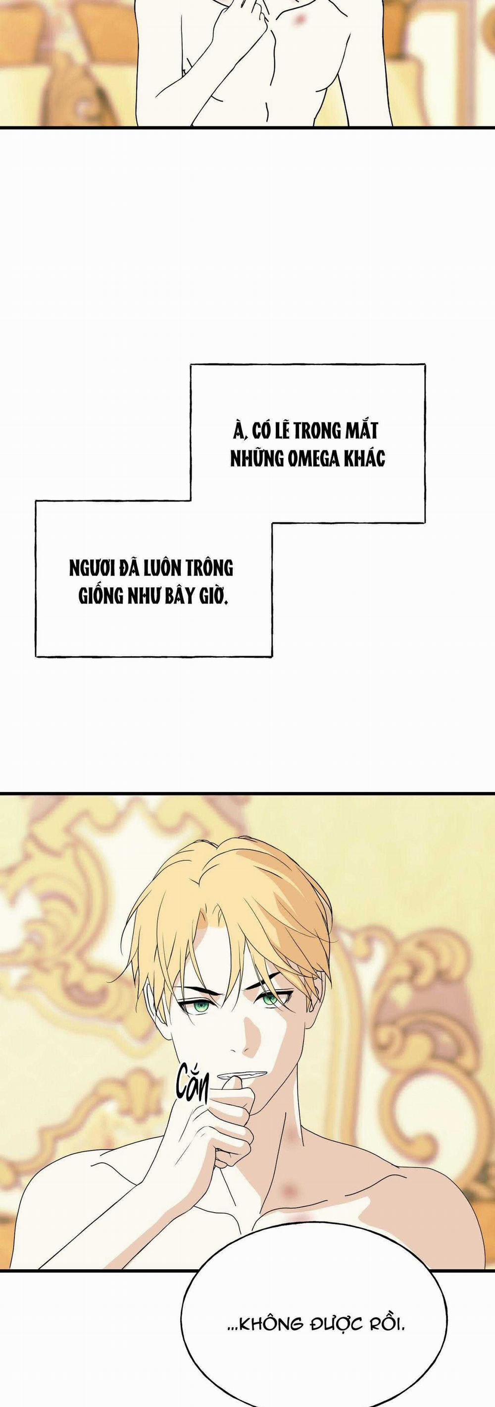 (Abo) Đám Cưới Hoàng Gia 29 trang 15