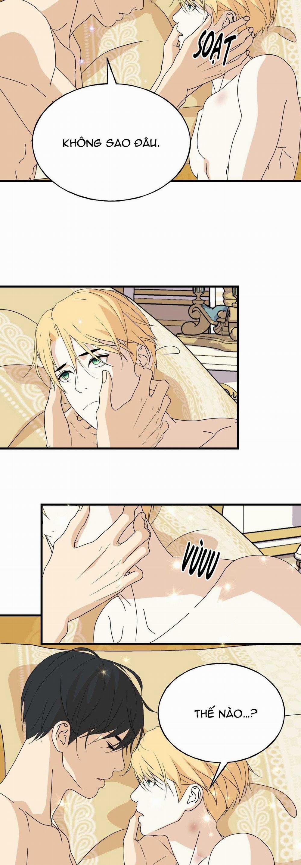 (Abo) Đám Cưới Hoàng Gia 29 trang 8