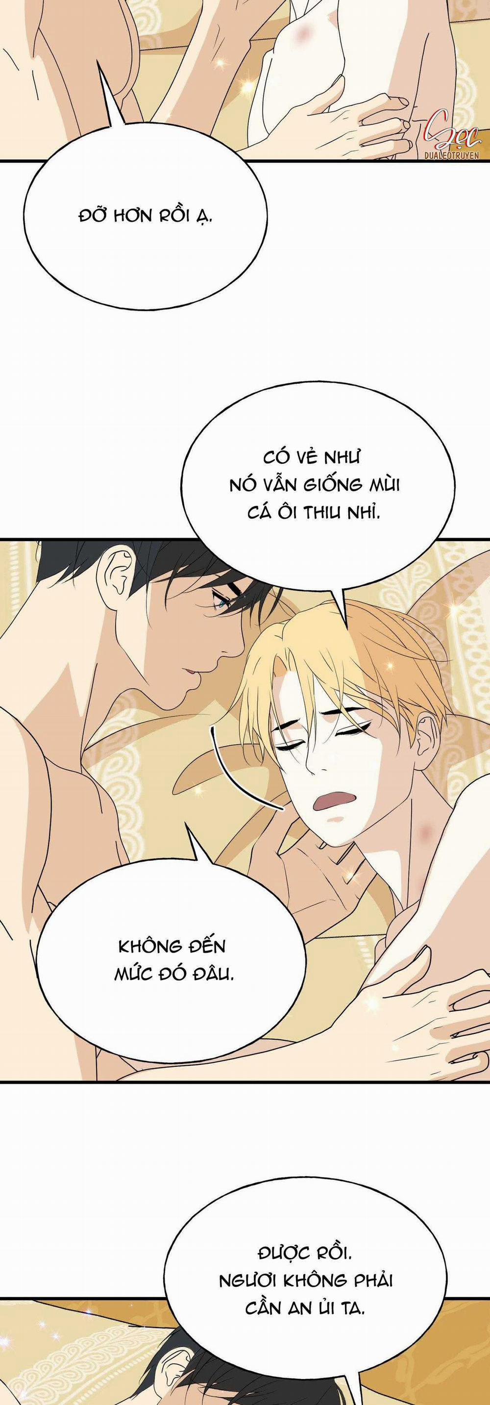 (Abo) Đám Cưới Hoàng Gia 29 trang 9