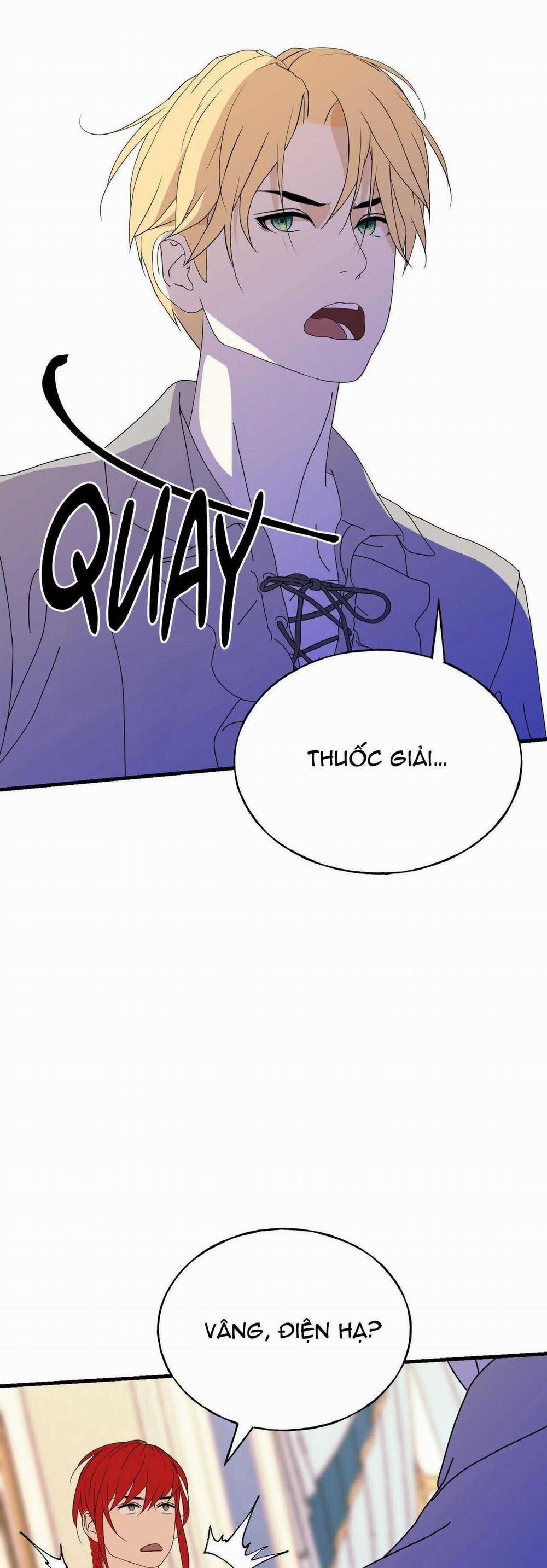 (Abo) Đám Cưới Hoàng Gia 30 trang 16