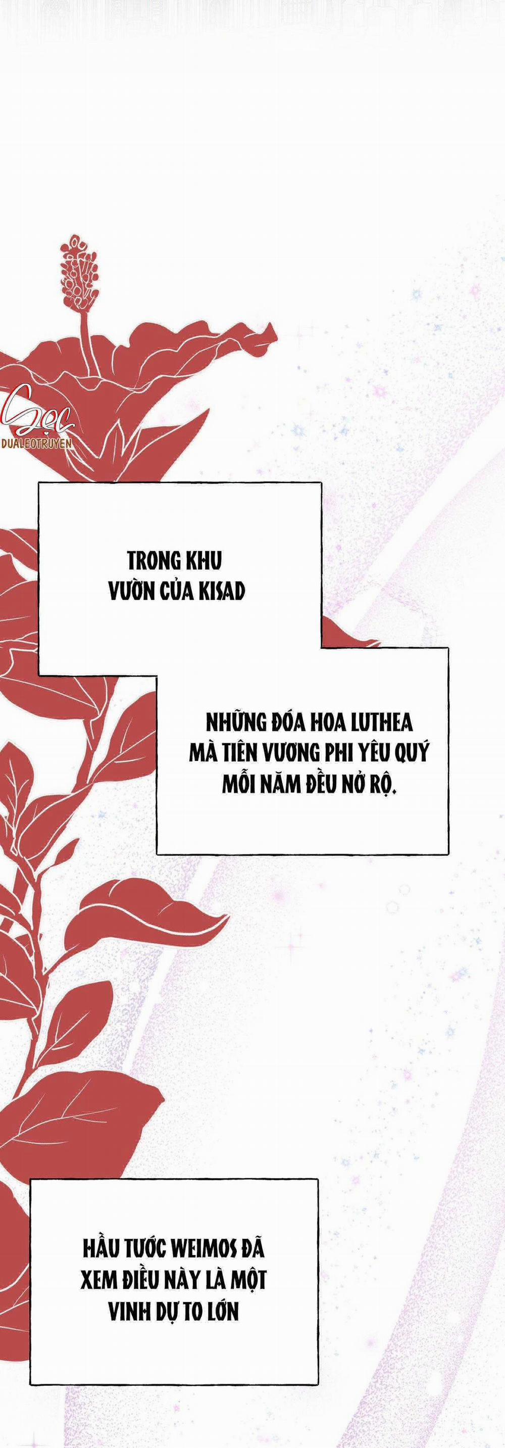 (Abo) Đám Cưới Hoàng Gia 30 trang 5