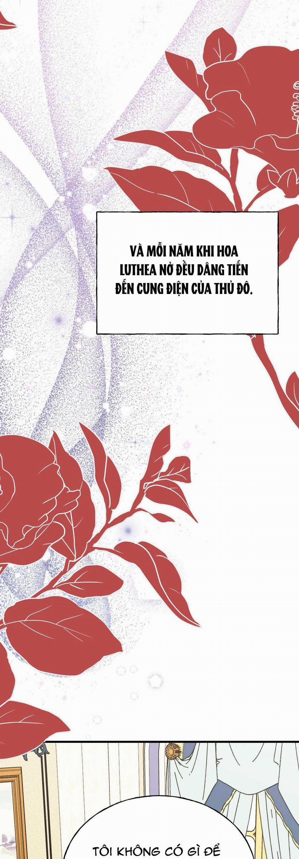 (Abo) Đám Cưới Hoàng Gia 30 trang 6