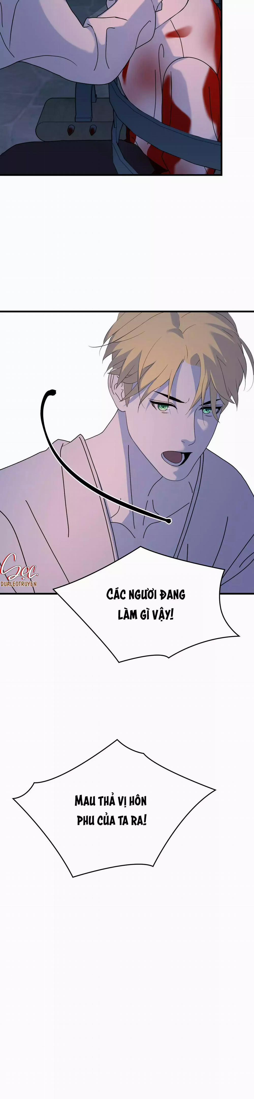 (Abo) Đám Cưới Hoàng Gia 34 trang 46