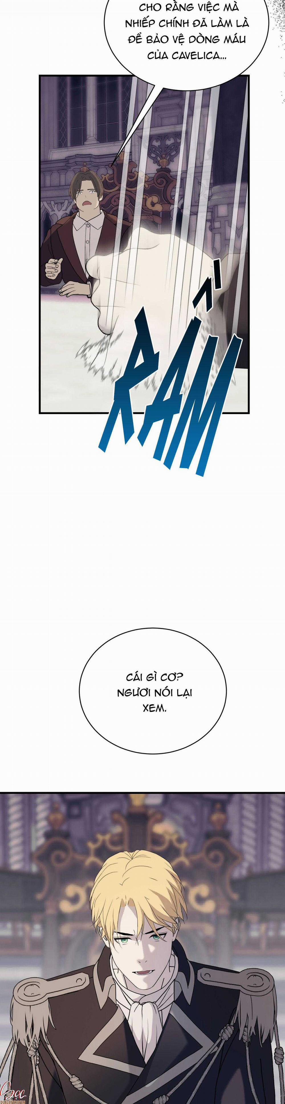 (Abo) Đám Cưới Hoàng Gia 35 trang 10