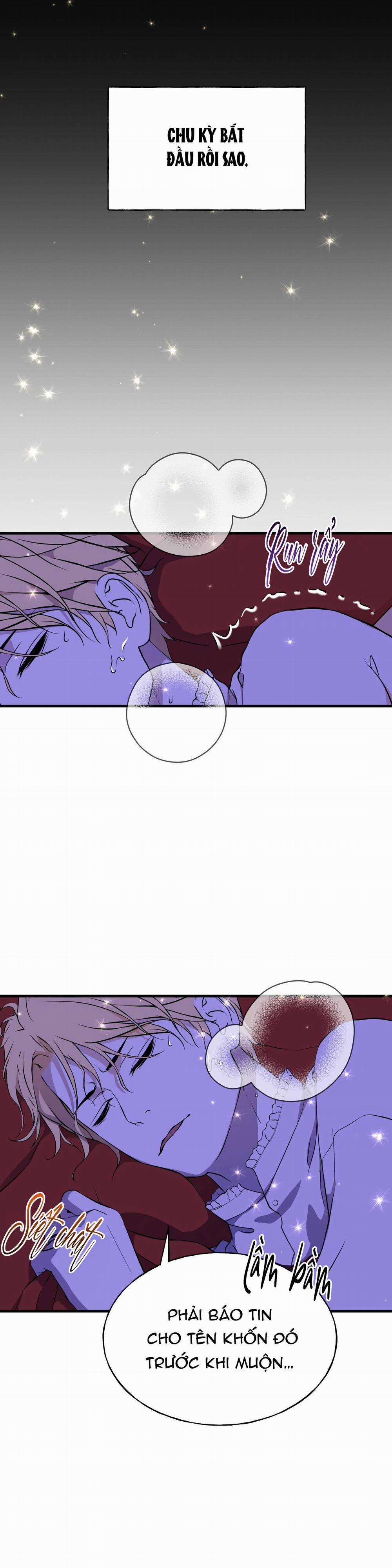 (Abo) Đám Cưới Hoàng Gia 5 trang 4