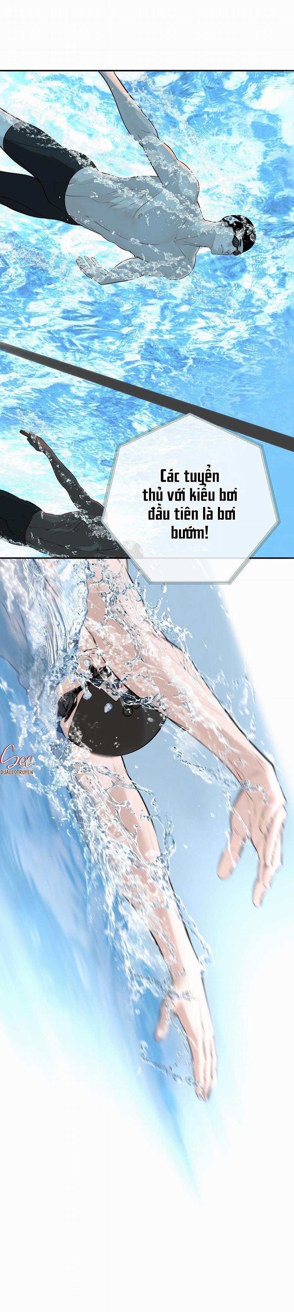 (Abo) Dash 1 trang 47