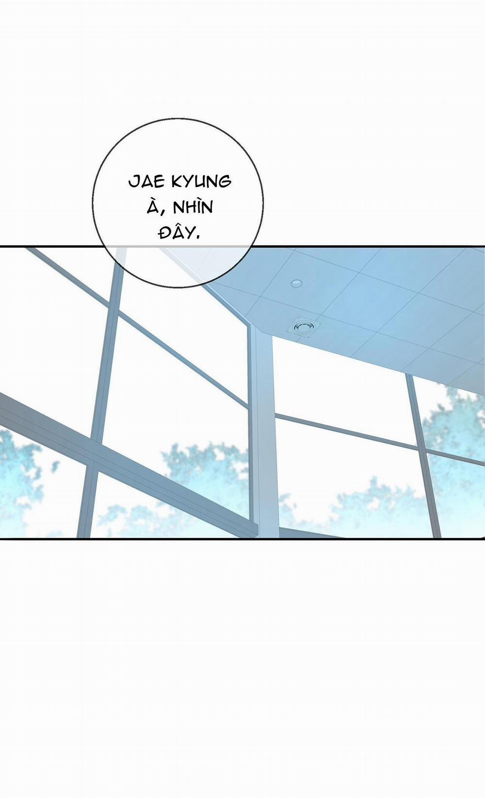 (Abo) Dash 10 trang 42