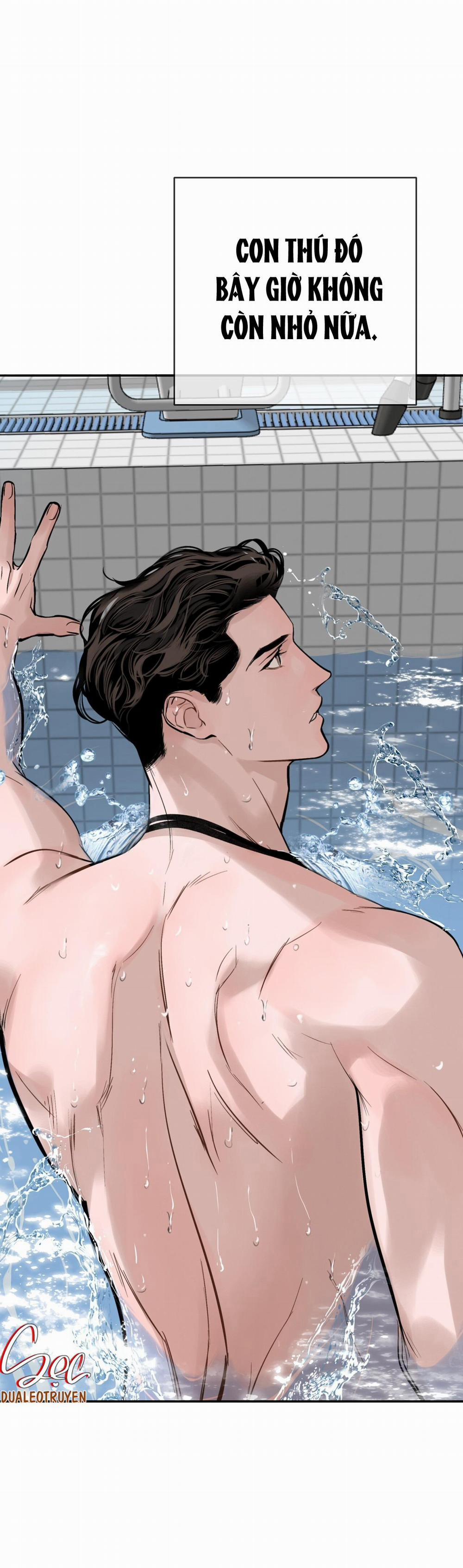 (Abo) Dash 21 trang 45