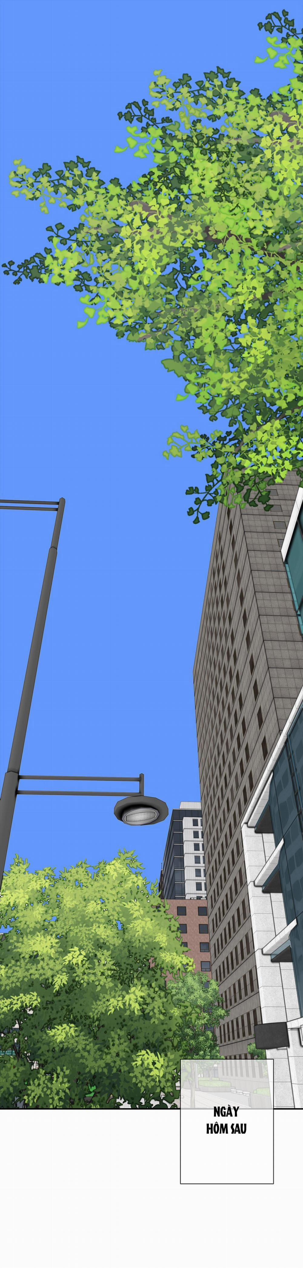 (Abo) Dash 5 trang 0