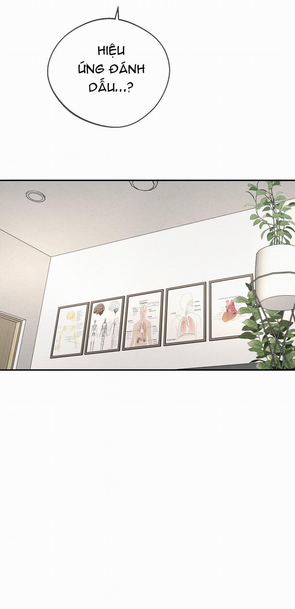 (Abo) Dash 9 trang 19