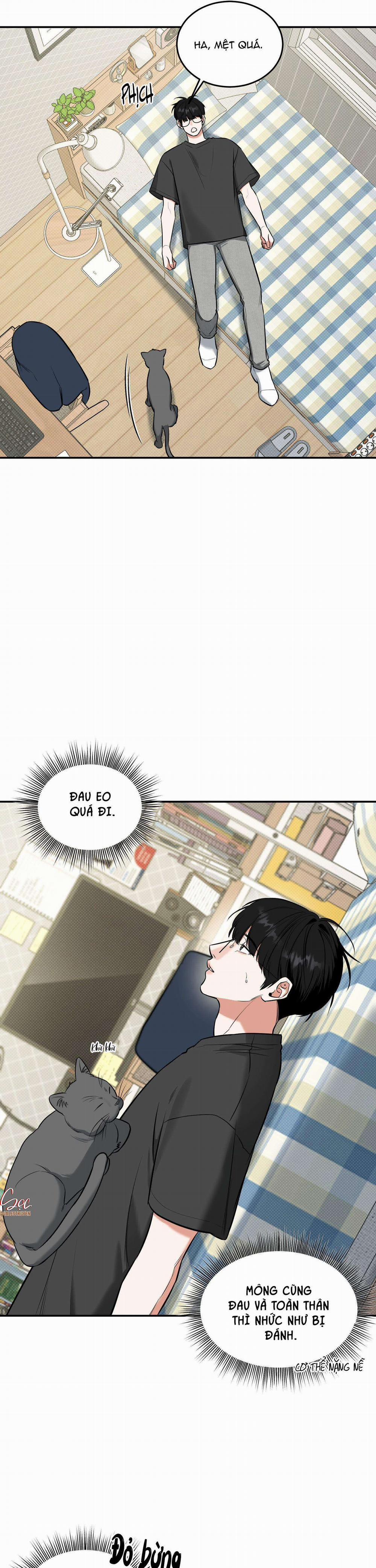 (Abo) Feel My Benefit 11 0 trang 17