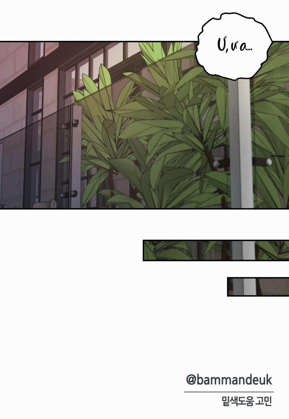 (Abo) Feel My Benefit 15 trang 41