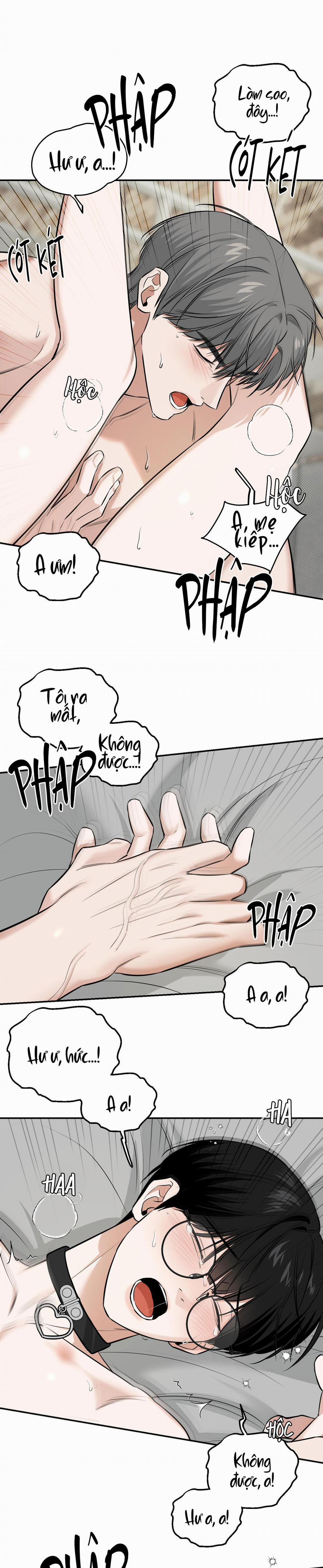 (Abo) Feel My Benefit 20 H+++ trang 19