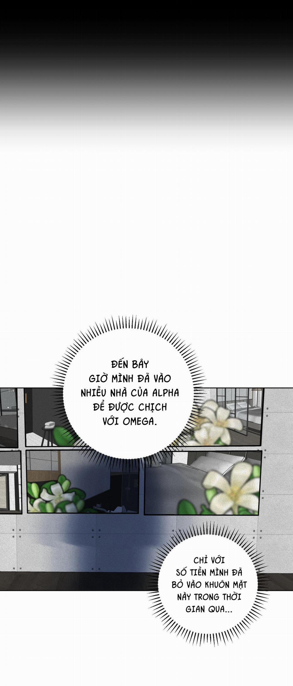 (Abo) Lời Cầu Nguyện 24 trang 10