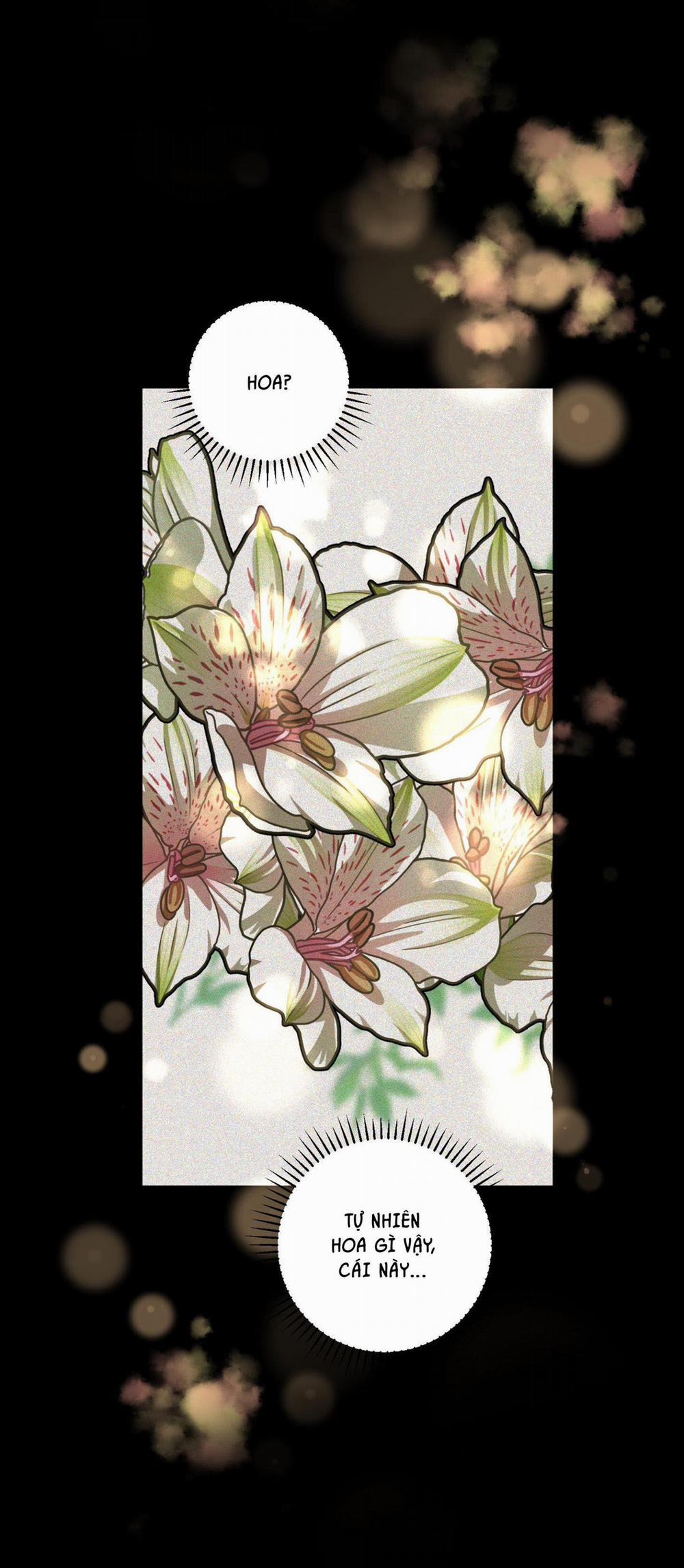 (Abo) Lời Cầu Nguyện 41 trang 14