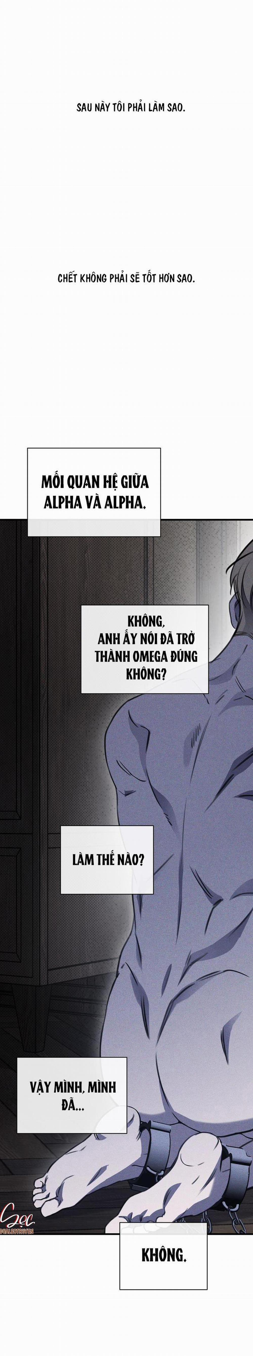 (Abo) The First Commandment 17 trang 49