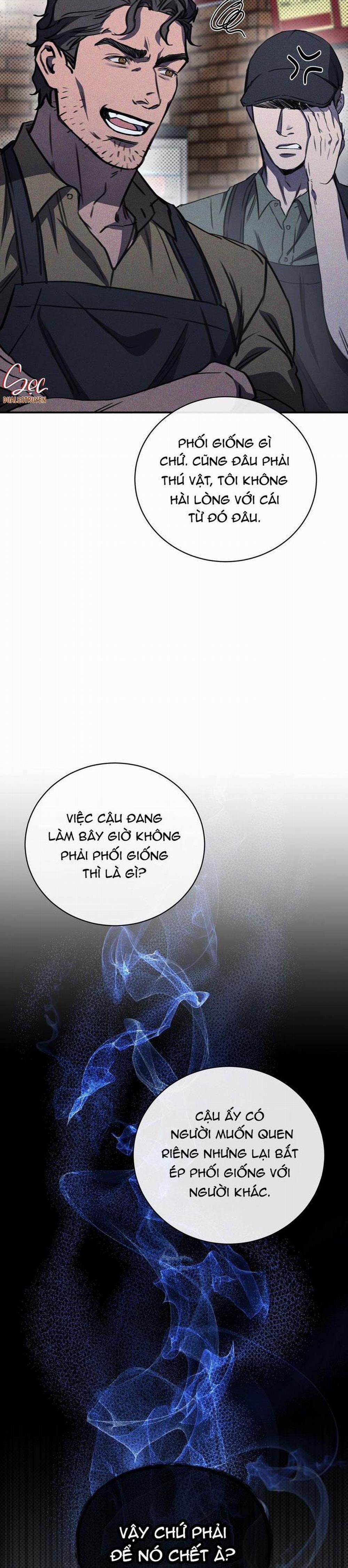 (Abo) The First Commandment 4 trang 6