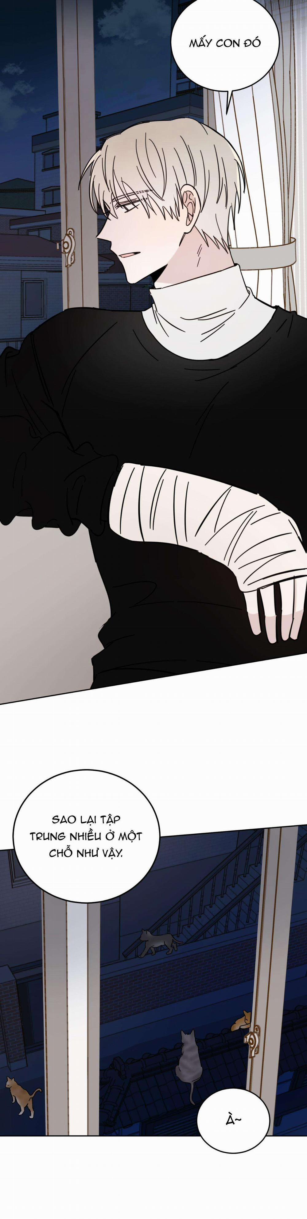 Ác Ma Giữa Ngã Tư Đường 10 trang 10