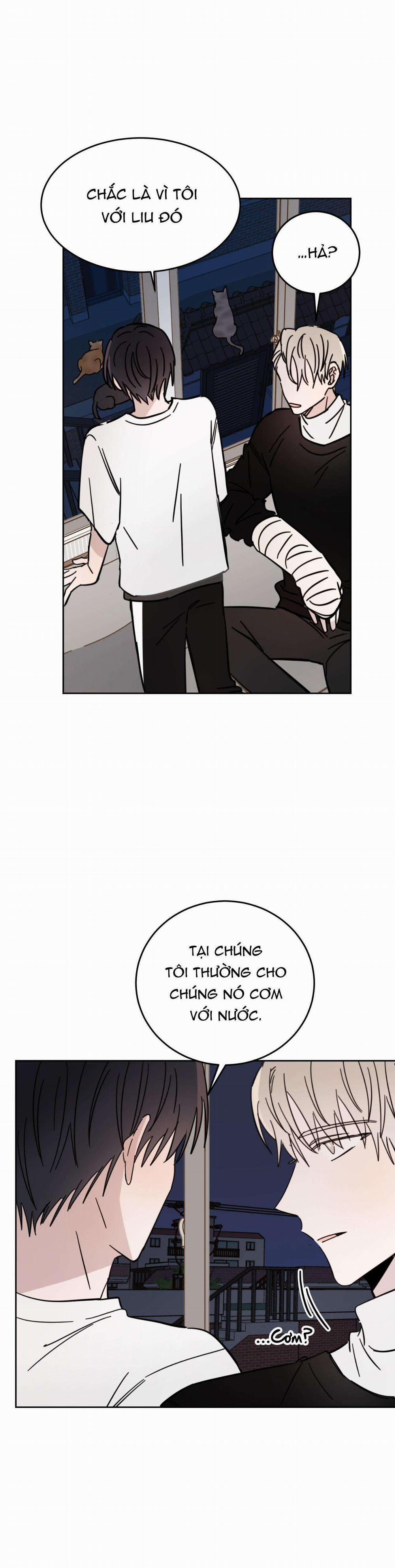 Ác Ma Giữa Ngã Tư Đường 10 trang 11