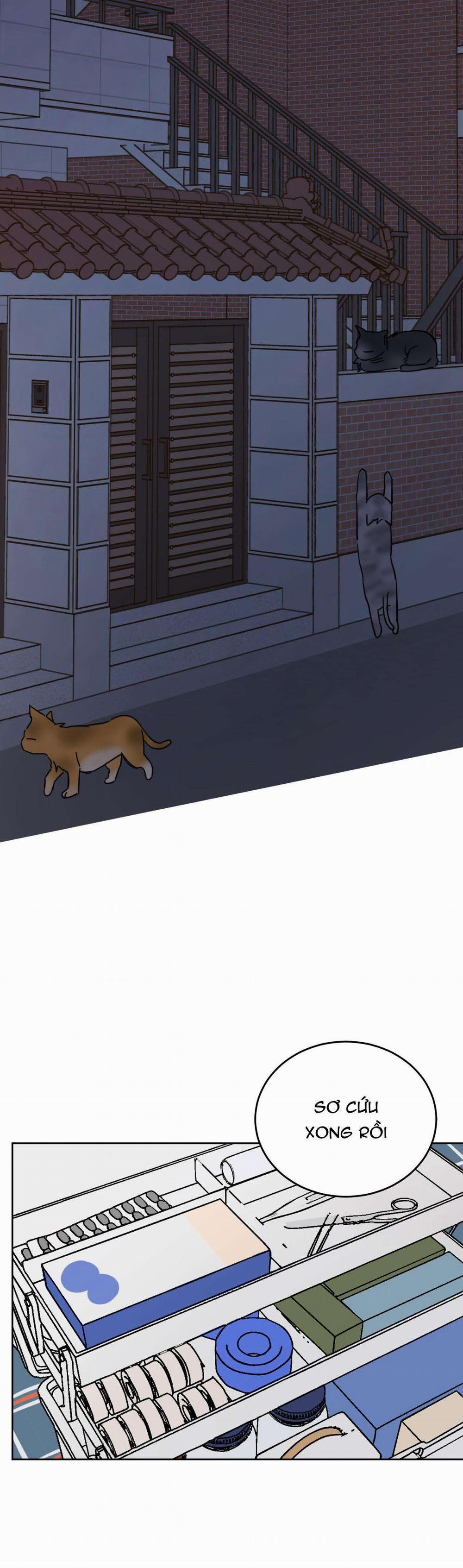 Ác Ma Giữa Ngã Tư Đường 10 trang 5