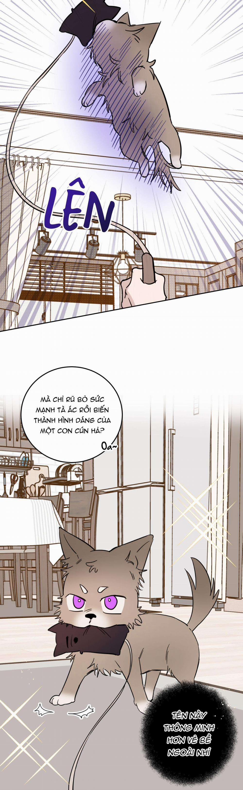 Ác Ma Giữa Ngã Tư Đường 19 trang 5