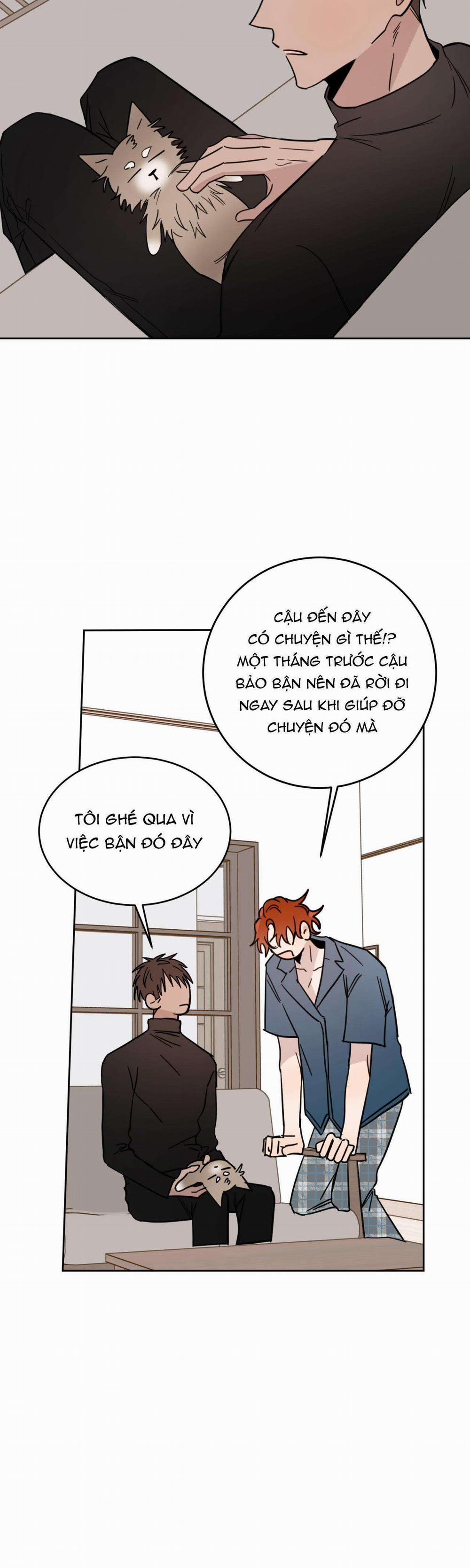 Ác Ma Giữa Ngã Tư Đường 20 trang 5