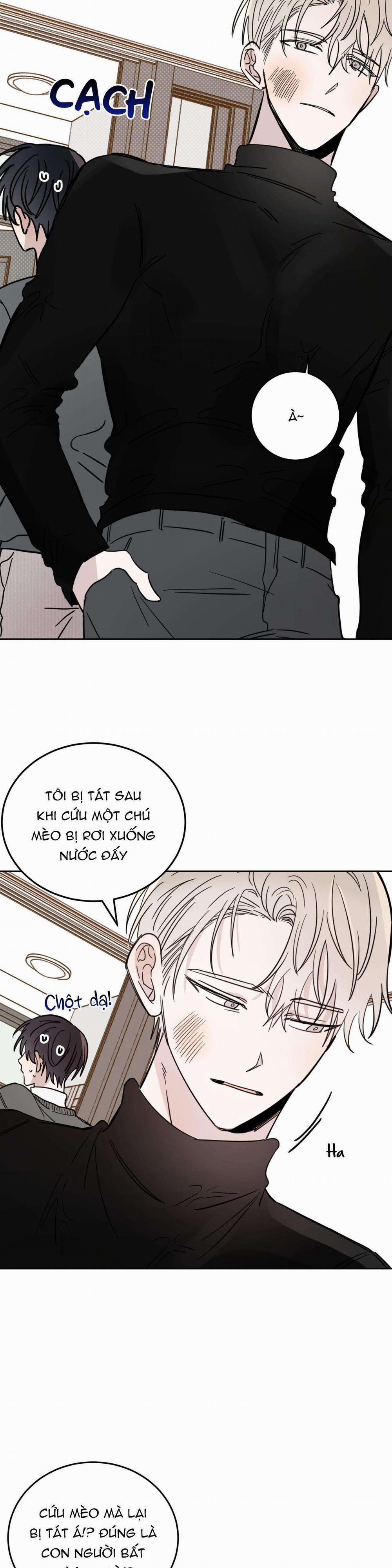 Ác Ma Giữa Ngã Tư Đường 21 trang 10