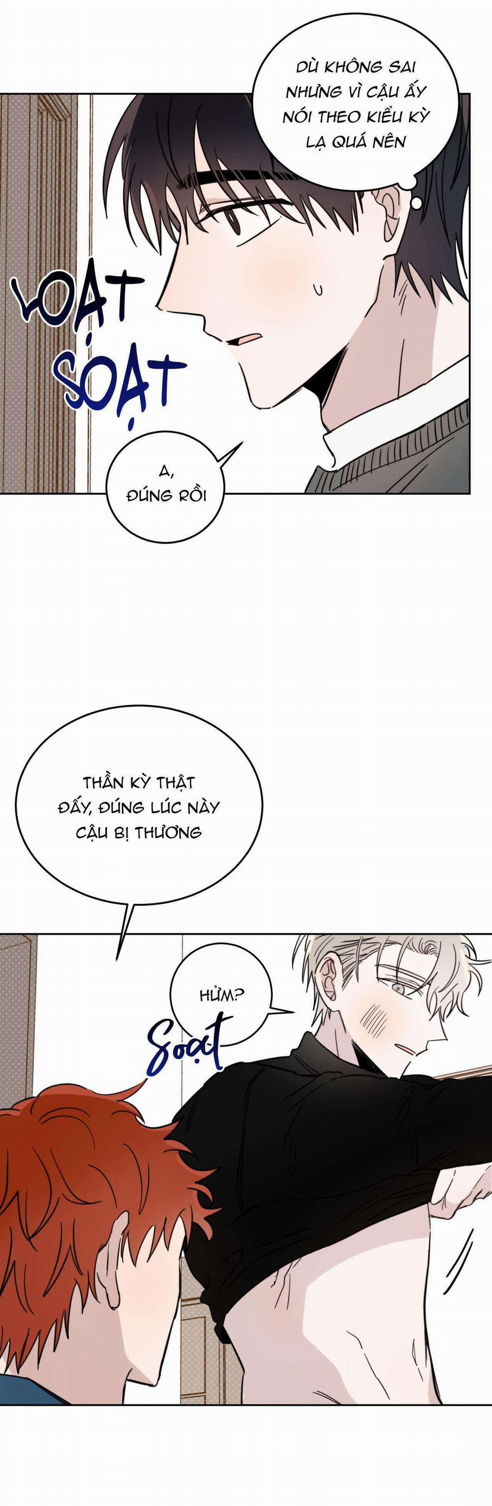 Ác Ma Giữa Ngã Tư Đường 21 trang 12