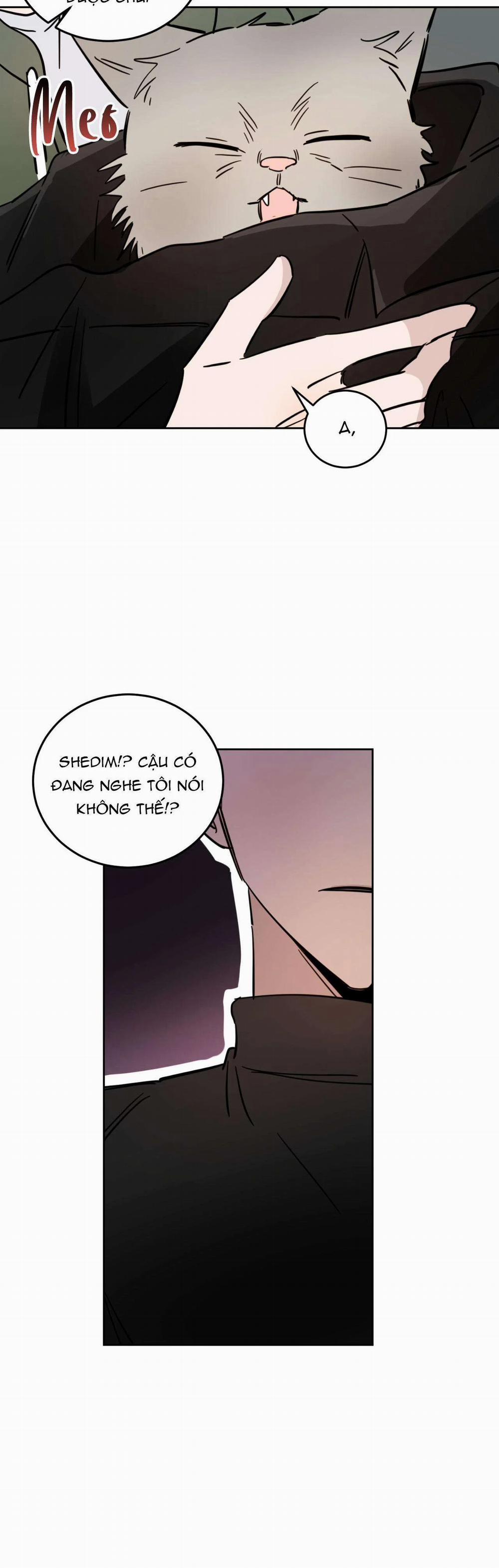 Ác Ma Giữa Ngã Tư Đường 21 trang 26