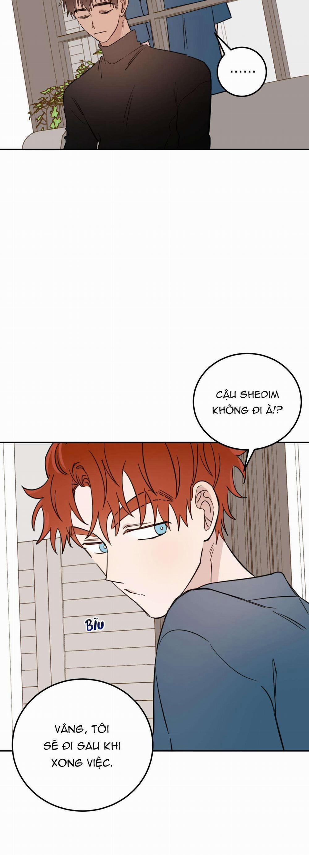 Ác Ma Giữa Ngã Tư Đường 22 trang 19