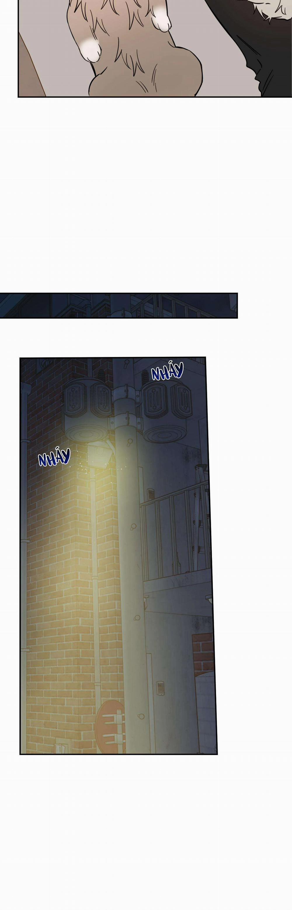 Ác Ma Giữa Ngã Tư Đường 22 trang 21