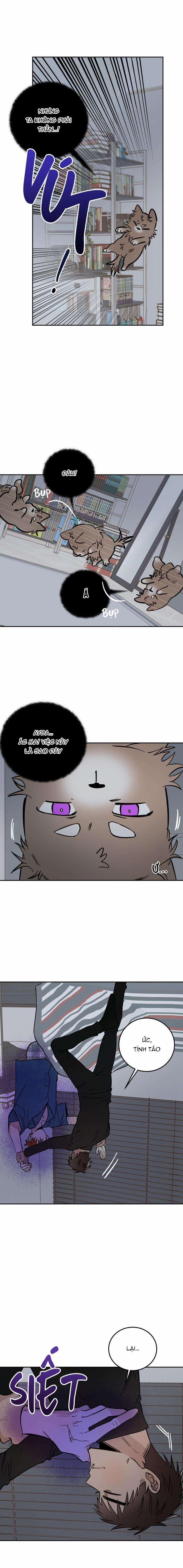 Ác Ma Giữa Ngã Tư Đường 29 trang 6