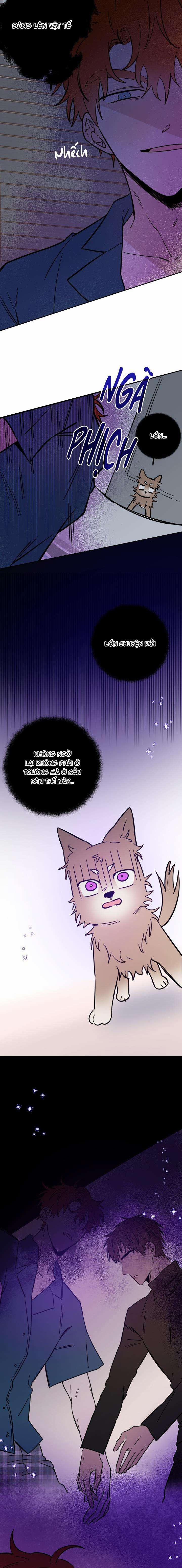 Ác Ma Giữa Ngã Tư Đường 29 trang 8