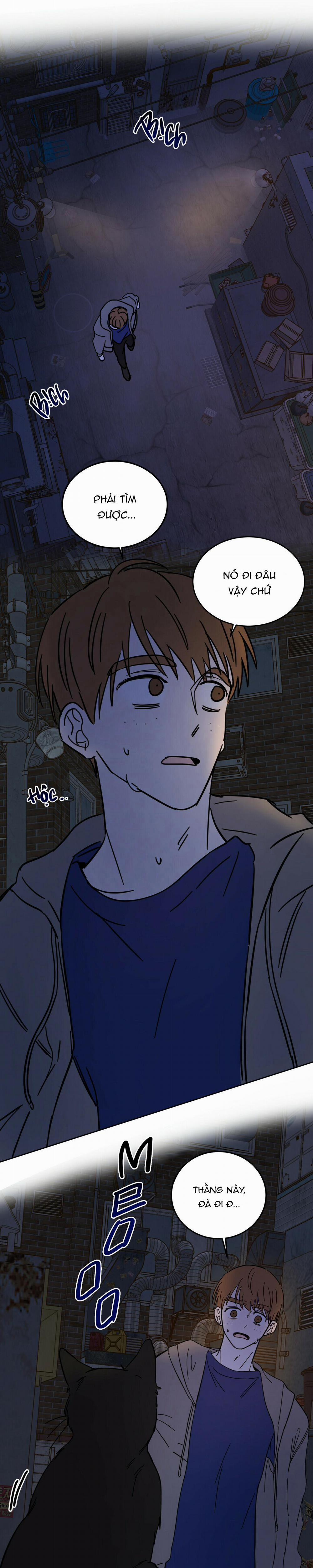 Ác ma giữa ngã tư 10 trang 21