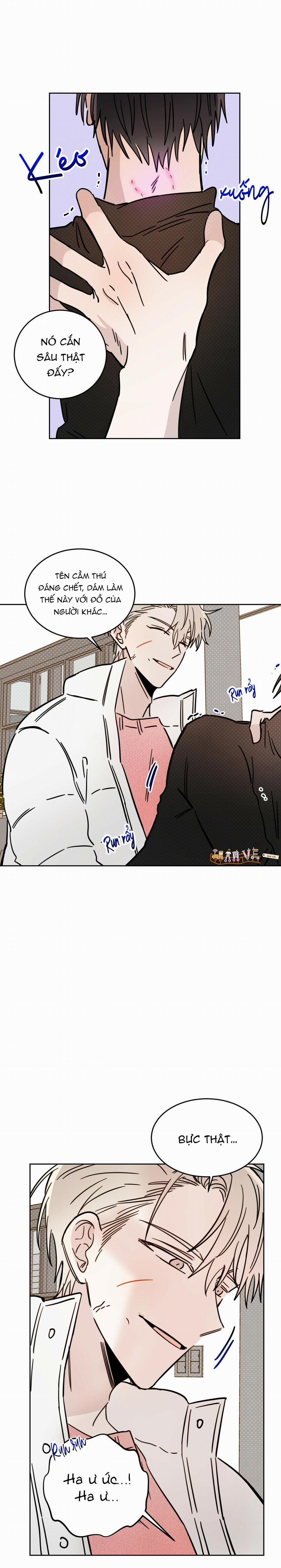 Ác ma giữa ngã tư 16 trang 11