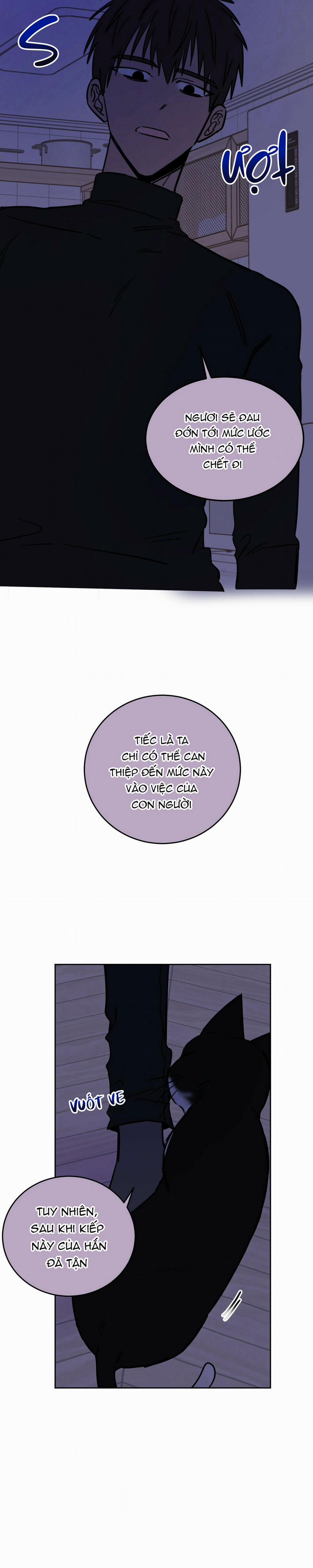 Ác ma giữa ngã tư 19 trang 21